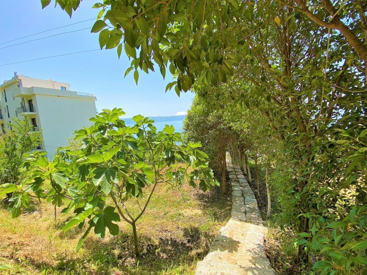 Ramo'S Green Beachside Retreat - Cozy 2 Bedroom Home Vlore Exterior photo